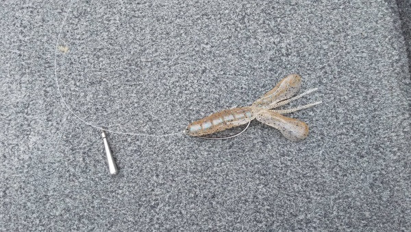 フリーリグに相性抜群 ドライブビーバー O S P Inc ルアーフィッシングメーカーo S P Inc の公式サイトです