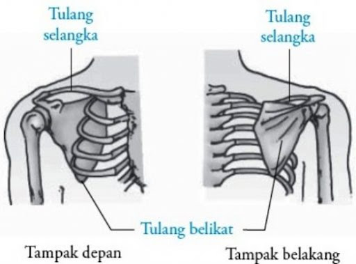 Gambar