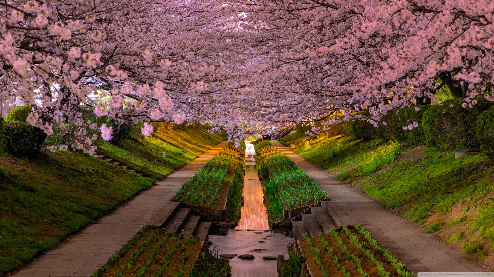 Spring ❤ 4K HD Desktop Wallpaper for 4K Ultra HD TV • Dual