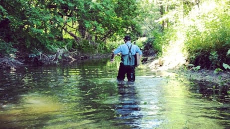 Himalayan balsam in Mud creek, Manotick 