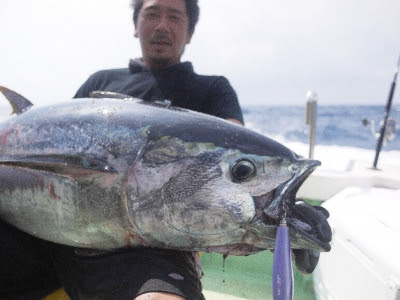 アカデミック講座4への解答 飛島周辺のクロマグロ必釣メソッドとファイト 湘南ルアー情報局