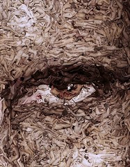 eye