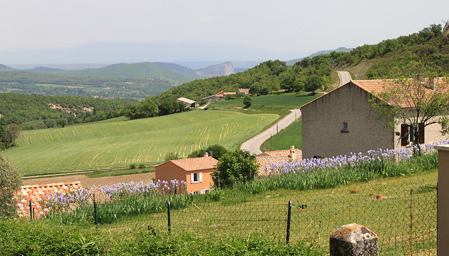LePetitVillage6
