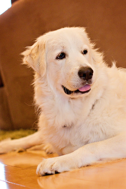 BellaKate-13