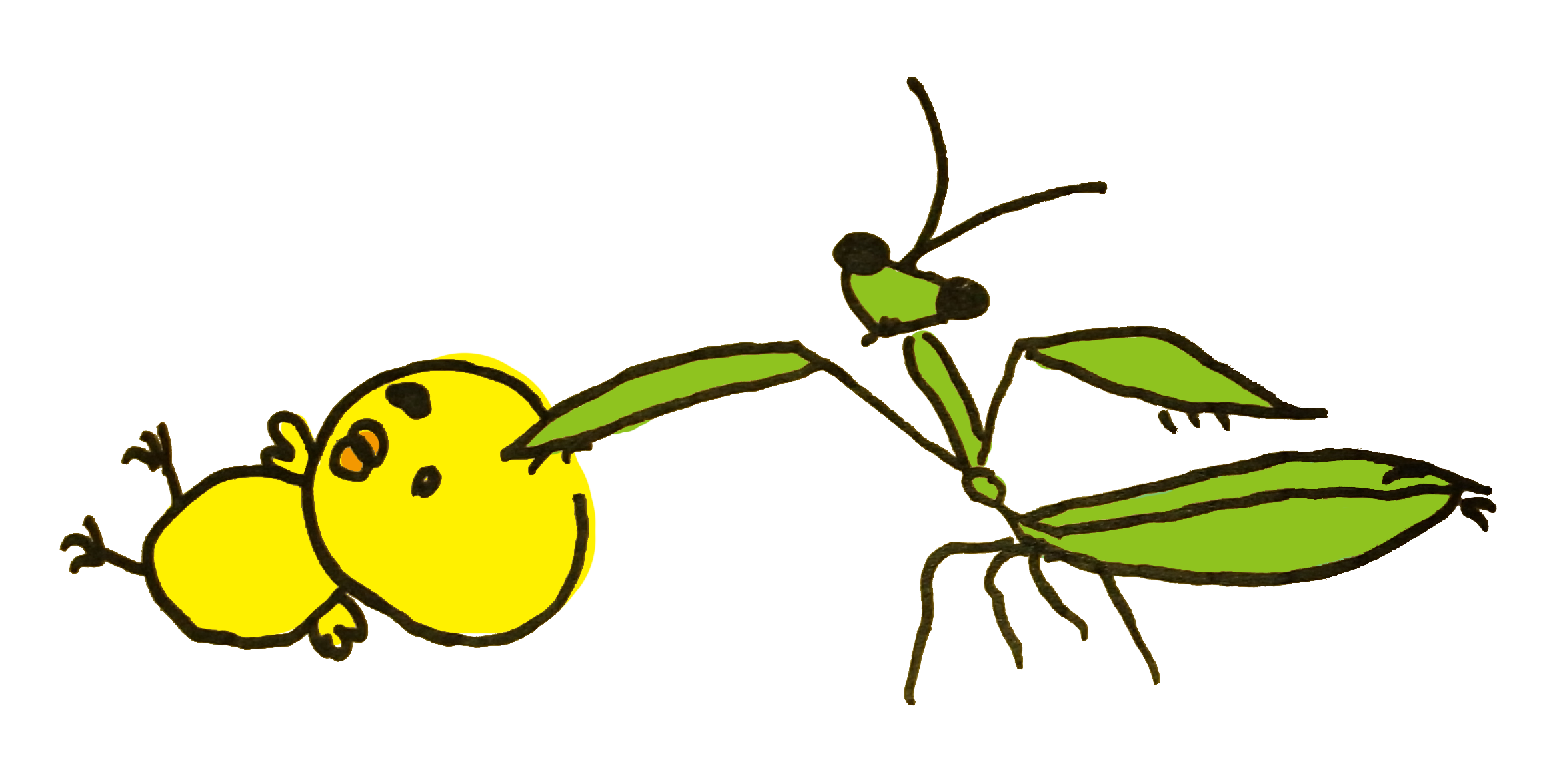 かっこいいカマキリ 可愛いカマキリのイラスト 高画質な画像まとめ 写真まとめサイト Pictas