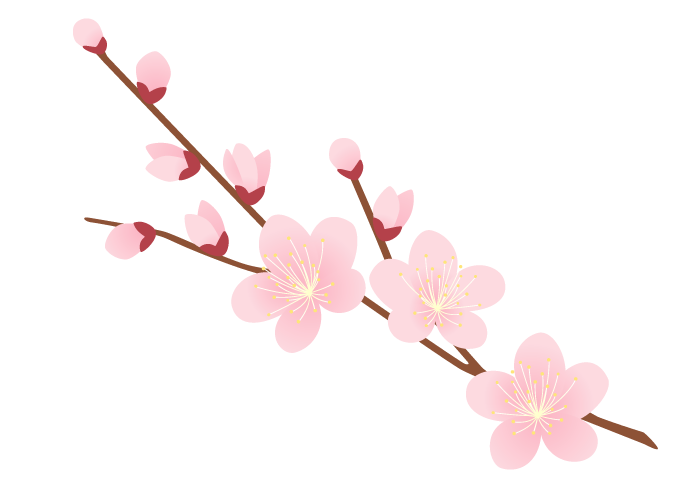 ウメ 梅 の花 かわいい無料のフリーイラスト素材集