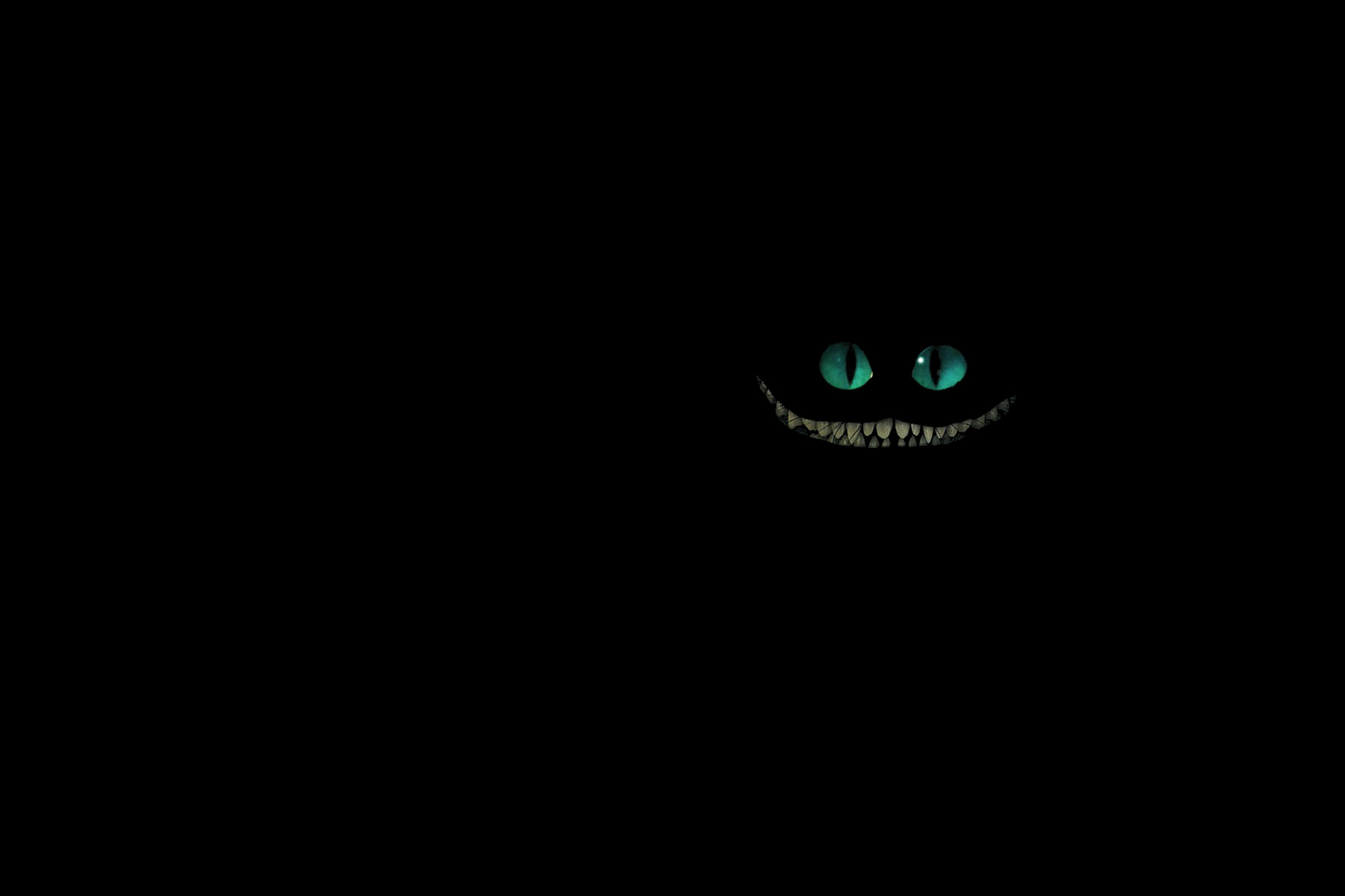 Cheshire Cat 1800x1200 Wallpaper