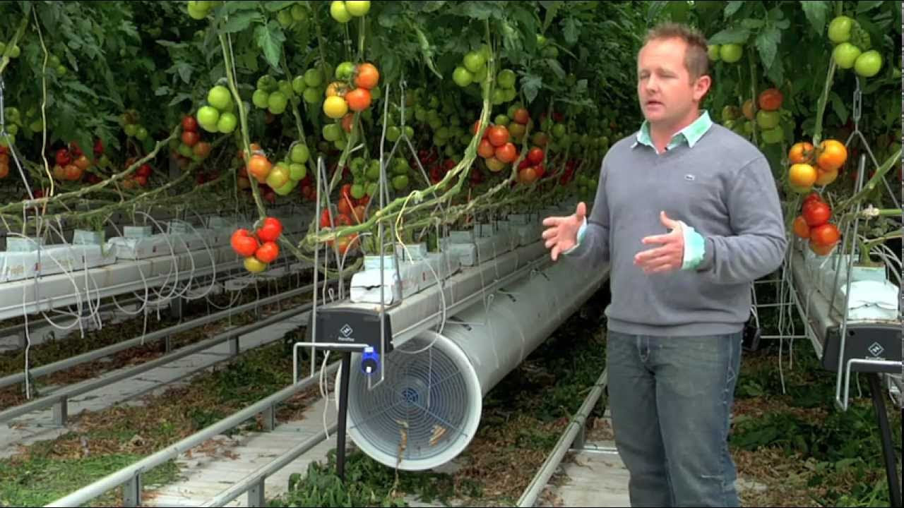 hydroponic gardening mild necessities