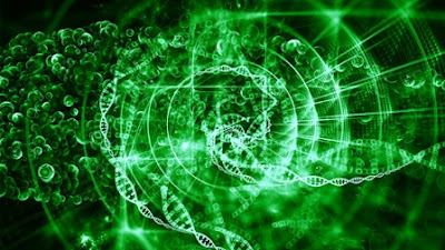 (DOWNLOAD) "Green Polymeric Nanocomposites" by Satya Eswari Jujjavarapu & Krishna Mohan Poluri " Book PDF Kindle ePub Free