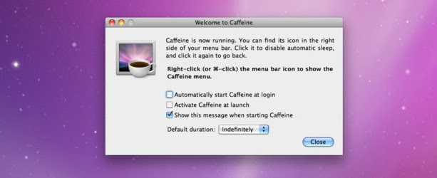 caffeine Caffeine