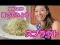 √100以上 もやし スプラウト 345368-もやし スプラウト 栄養