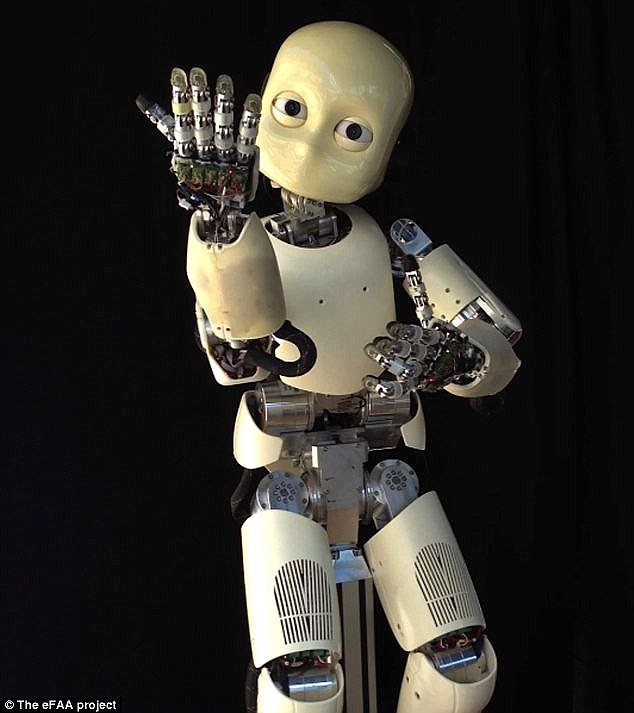 'This study shows  the body plays a role in early object name learning,' lead author Professor Linda Smith said. 'The creation of a robot model for infant learning (iCub pictured)) has far-reaching implications for how the brains of young people work'