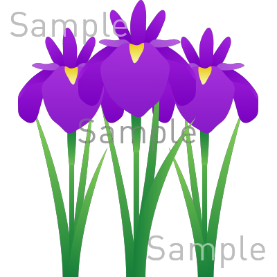 菖蒲の無料イラスト素材 登録不要のイラストぱーく