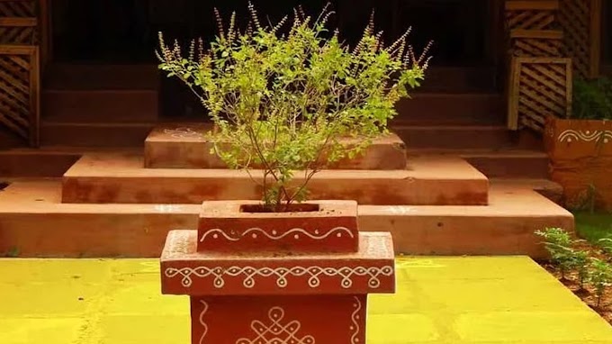 మొక్కలని, చెట్లని పవిత్రముగా భావిస్తాము ఎందుకు?