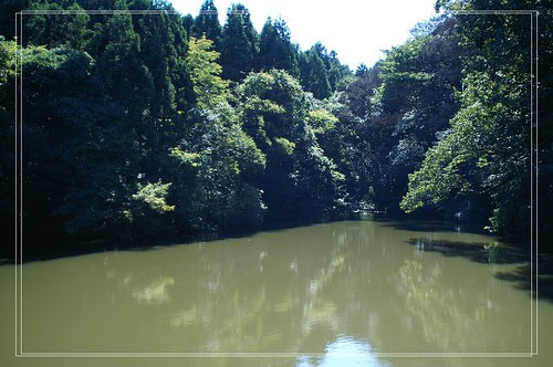 PICT7403