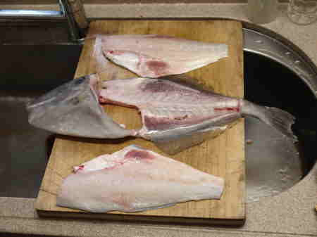 ウスバハギのおろし方 魚料理と簡単レシピ