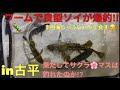 √ダウンロード ソイ釣り ワーム 282035-ソイ釣り ワーム おすすめ