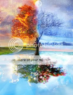 Four seasons Pictures, Images and Photos