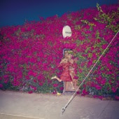 Feist - Pleasure artwork
