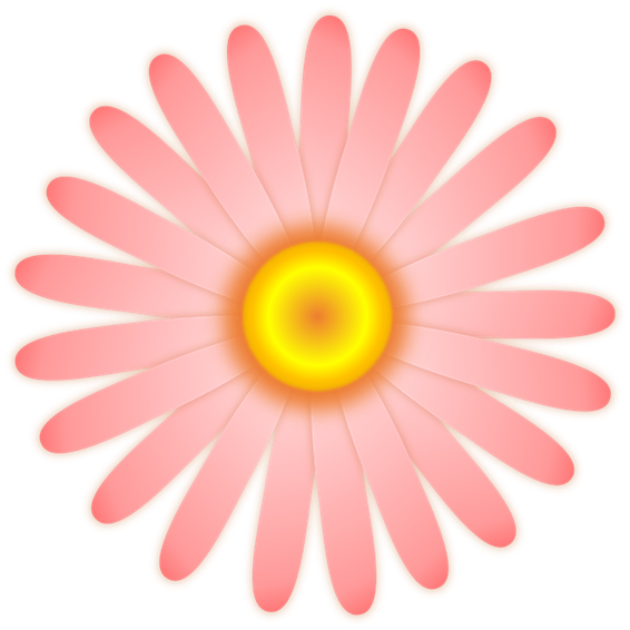 ピンクのマーガレットの花のイラスト 無料イラスト素材 ちいさないきもの