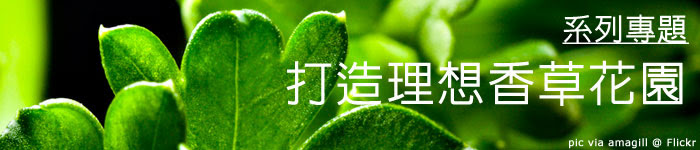 系列專題 理想的香草花園