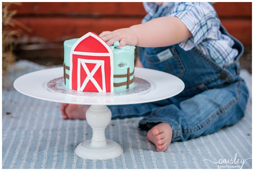 Calgary Cake Smash Photography Kaleb s Barn Yard Theme Calgary Cake Smash Photography Kaleb s Barn Yard Theme