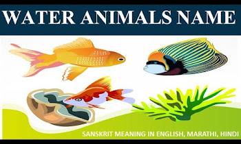Marine Animals Meaning In Hindi