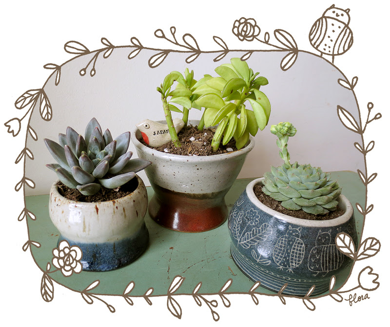 Succulents