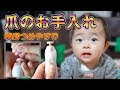 コレクション 赤ちゃん 爪切り おすすめ 電動 177532-赤ちゃん 爪切り おすすめ 電動
