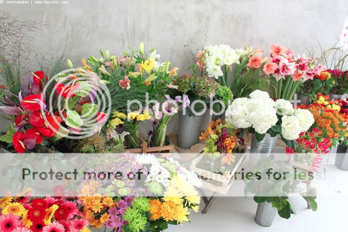 http://i402.photobucket.com/albums/pp103/Sushiina/cityglam/cityglam001/blumenmachen1_zpse82d6a2e.jpg