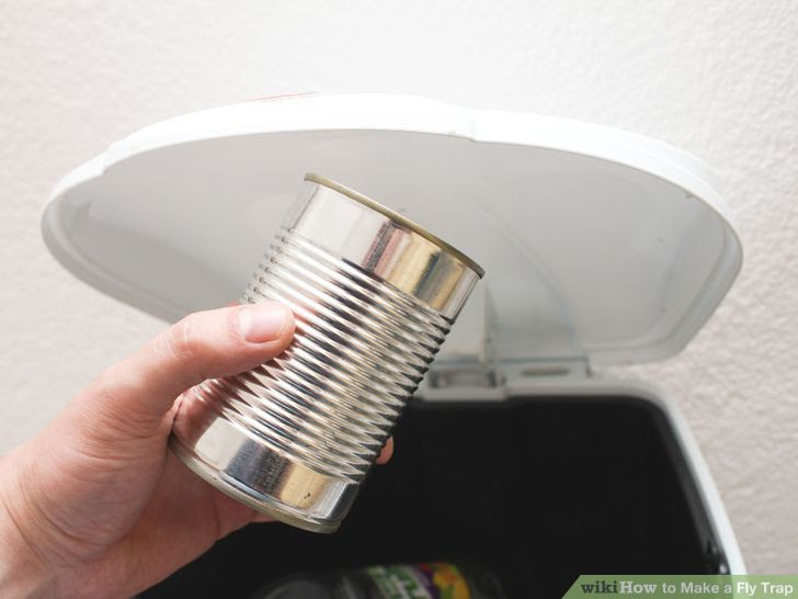 Make a Fly Trap Step 19 Version 3.jpg