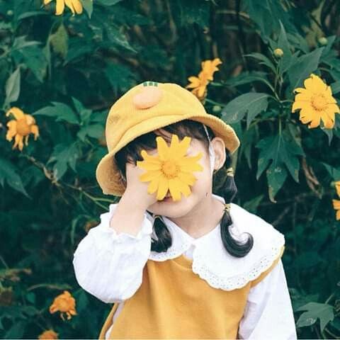 nama bunga untuk bayi perempuan