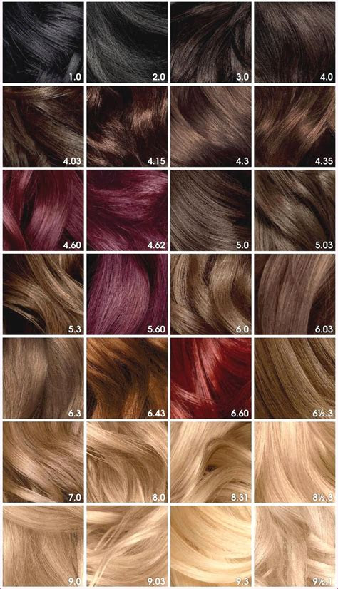  garnier color naturals shades chart