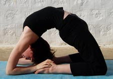 kapotasana