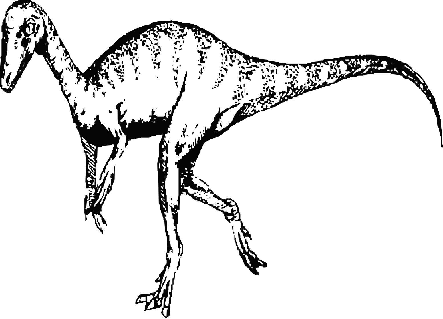 Disegni dinosauri