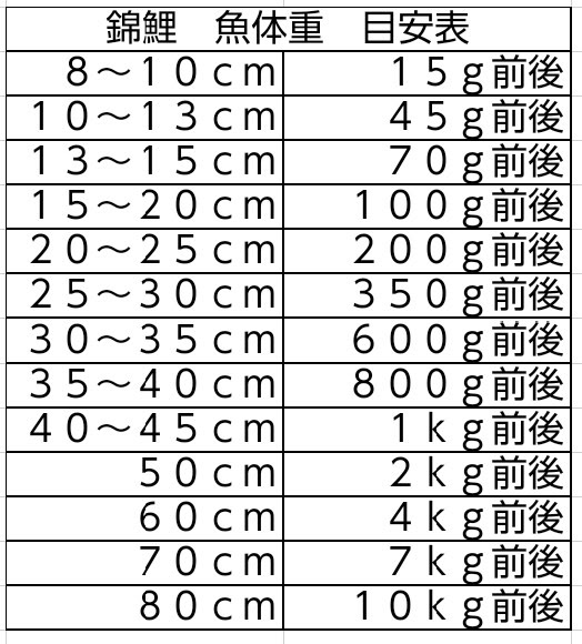 錦鯉ブログ 丈夫さと美しさを備えた錦鯉 小西養鯉場