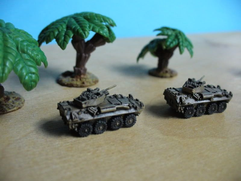 Rosomak (AMV Patria, model LAV-25)
