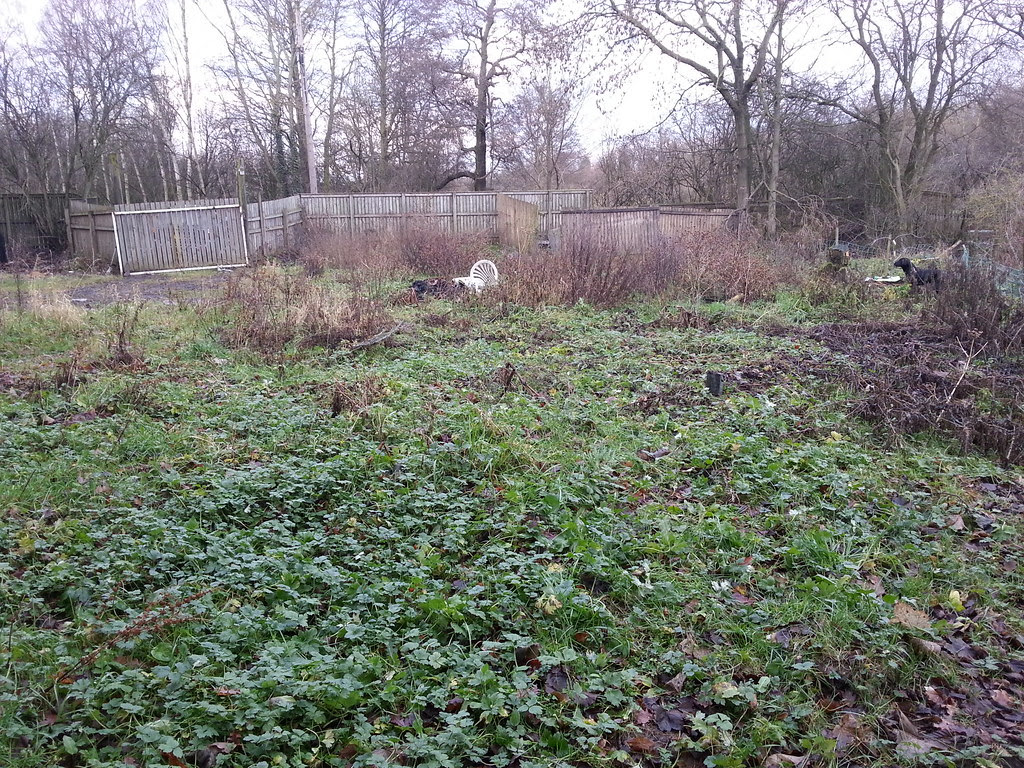 New Allotment