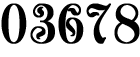 Website Visitor Counter