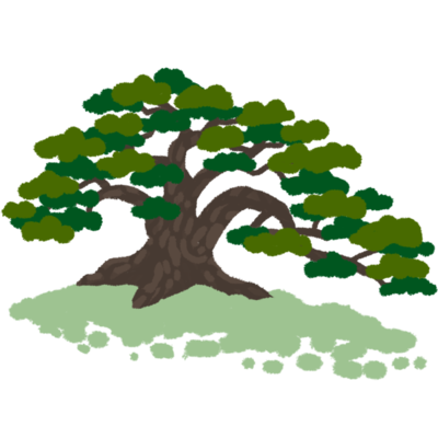 リュウキュウマツの無料素材 イラスト沖縄 おきなわ