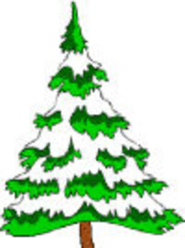 Snowy Pine Tree