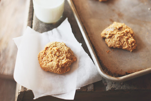 pumpkin spice cookies