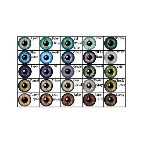 Structure of an eye chart; pin on polyvore