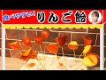 √ おしゃれ チョコ バナナ 屋台 143164