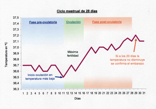 quiero calcular mis dias de fertilidad