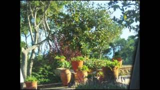 Primavera a la Cala Estreta