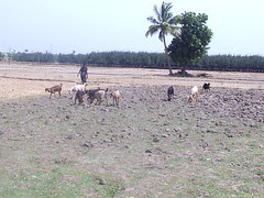 P1012660