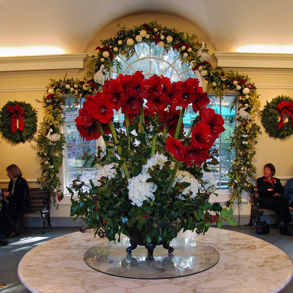DSC03366 Filoli Amaryllis Table