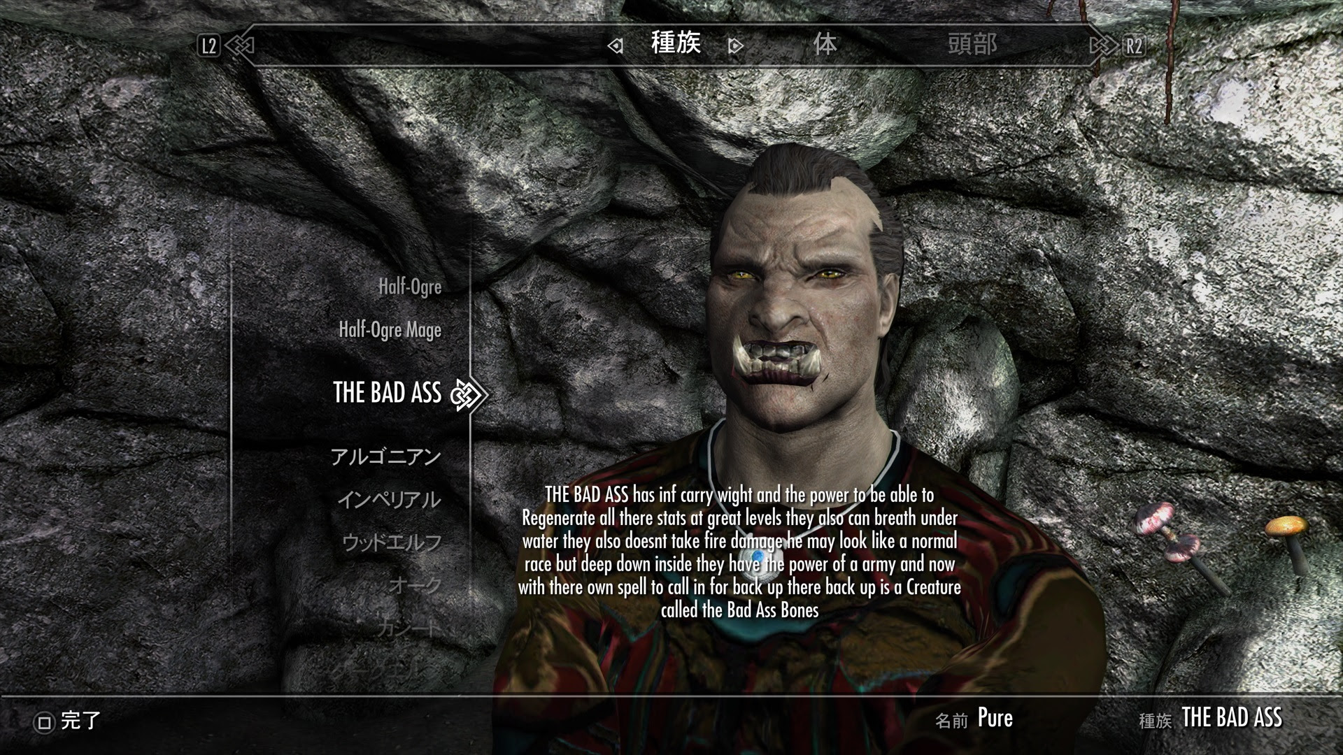 The Bad A Race Ps4 Ps4 Skyrim Mod