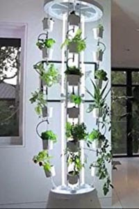 closing the loop on aquaponics gardeninterns2012